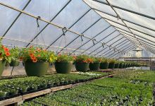 Bloomin' Acres购物图片