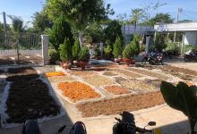 Nhà Thuốc Nam Phước Chí Tâm Linh Xã Châu Phong购物图片