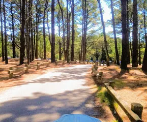 Espace Naturel Sensible De Kervillen