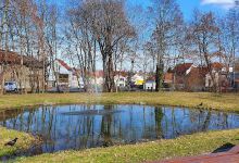 Stadtpark (mit Teich)景点图片