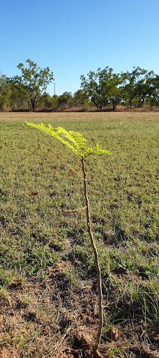 HeliSpirit Katherine Gorge | Scenic Helicopter Flights-兰斯当区