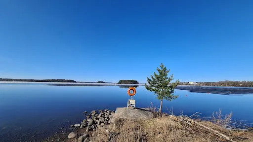 Saunasaari