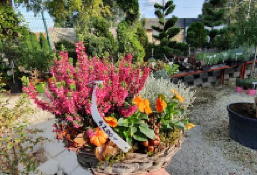 Virágliget Kertészeti Áruda购物图片