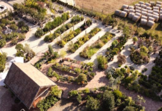 Szedervölgyi Kertészet购物图片