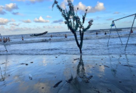 Biển Trà cổ, Móng Cái, Quảng Ninh景点图片