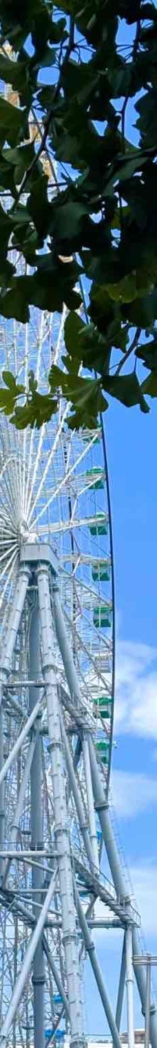 天保山摩天轮-大阪-不务正业的露小西