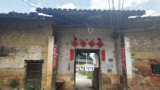 蔡屋大榕樹