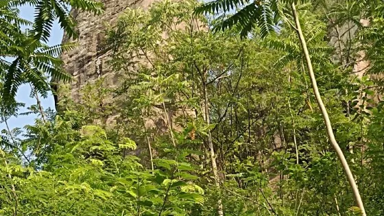 石筍故里