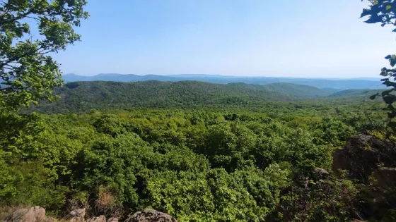 將軍山原始森林景區-將軍峯