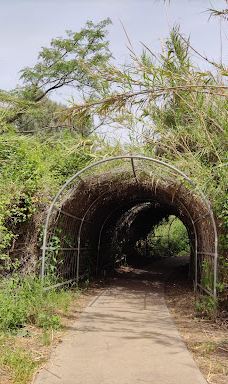 Majrase Nature Reserve-Emek HaYarden