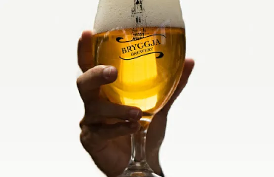 Bryggja Brewery