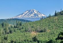 Mt Adams Baptist Church景点图片