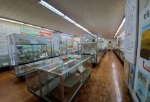 Anan-Cho Fossil Museum景点图片