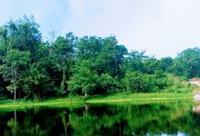 Arboretum Univesitas Riau景点图片