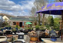 Willowfield Garden Centre购物图片