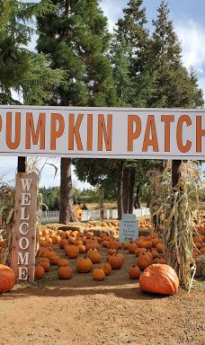 苹果山-埃尔多拉多县