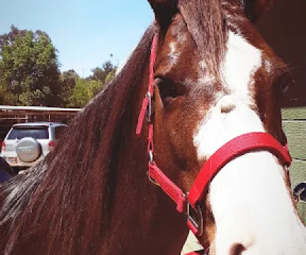 MonteVerde Trails Ranch