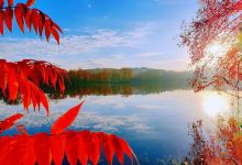 Halfmoon Lighthouse Park景点图片