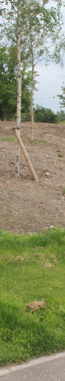 维多利亚公园-贝尔法斯特