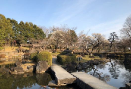 Gunma Flower Park景点图片