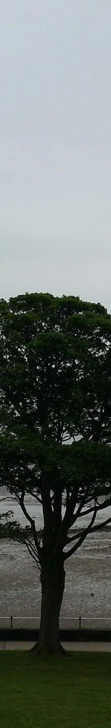 Hazelbank Park-纽敦阿比