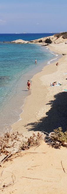 Cedar Forest of Alyko-纳克索斯