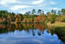 Clemmons Educational State Forest景点图片
