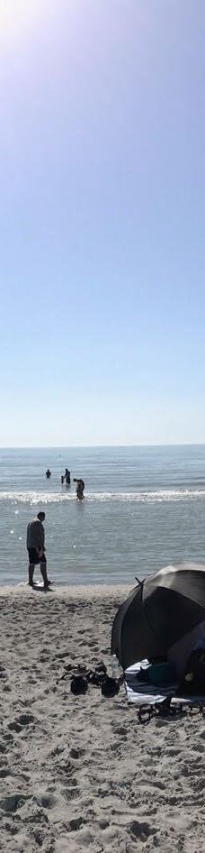 Bowman's Beach-萨尼贝尔