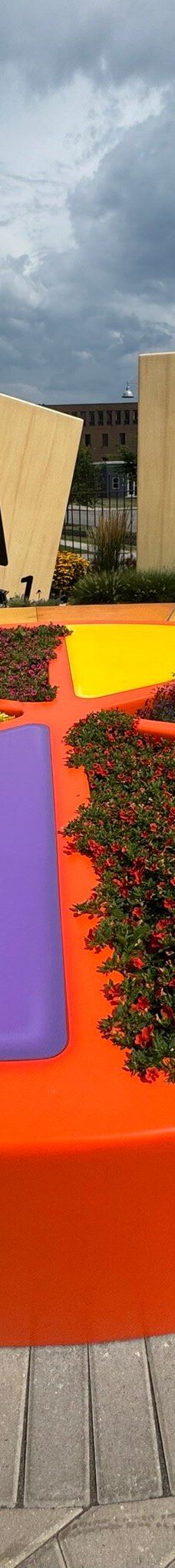 The Strong National Museum of Play-罗切斯特