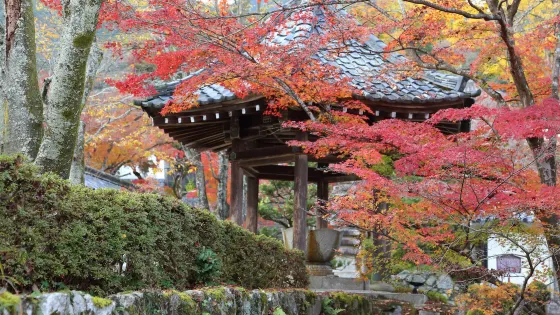 西教寺