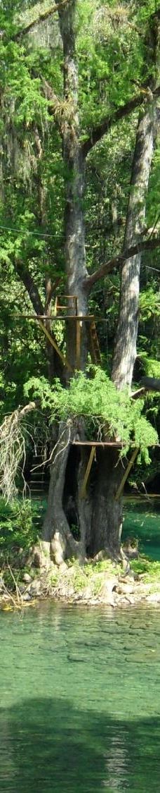 Tamasopo Falls-塔马索波