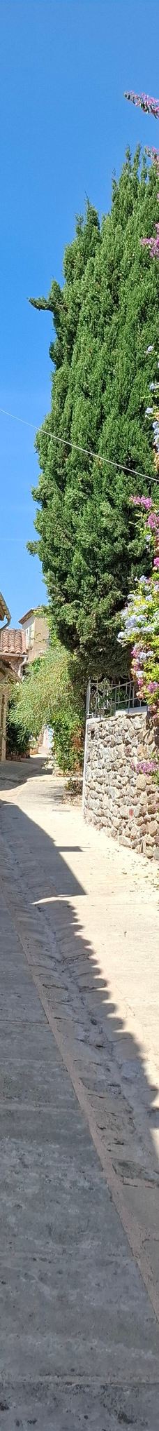 Castle de Grimaud-格里莫