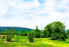 Whitecliff Vineyard & Winery景点图片