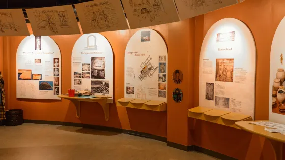 Rugby Art Gallery & Museum