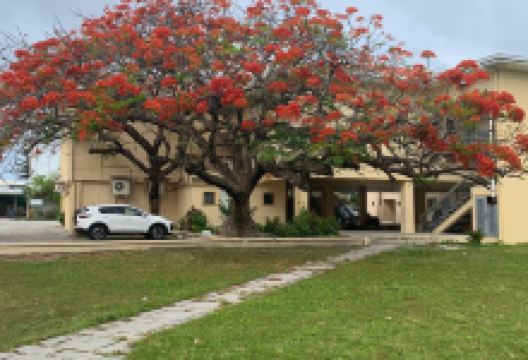 Alele Museum, Library and National Archives景点图片
