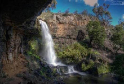 Paddys River Falls景点图片