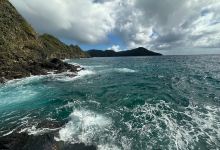 Tobago Dive Experience购物图片
