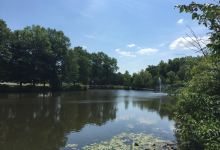Mill Pond Park景点图片