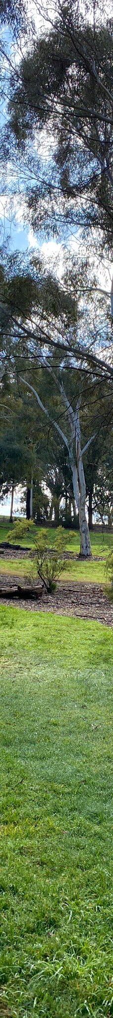Orange Botanic Gardens-奥兰治
