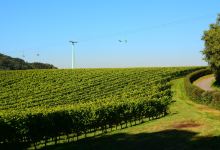 Winery Entre-Deux-Monts景点图片