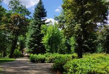 Park Zdrojowy Plac Zabaw景点图片