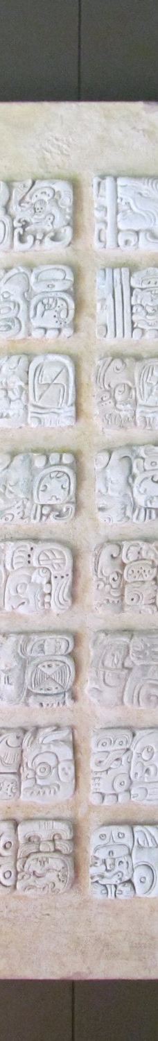 Palenque Site Museum "Alberto Ruz Lhuillier"-帕伦克