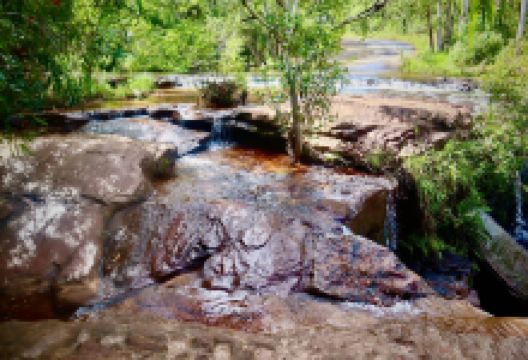 Isabella Falls景点图片