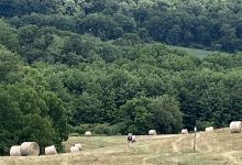 Appalachian Trail景点图片