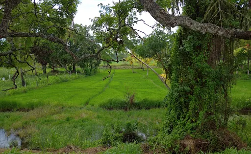 eramuduwewa