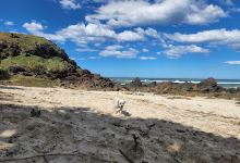Maggies Beach景点图片