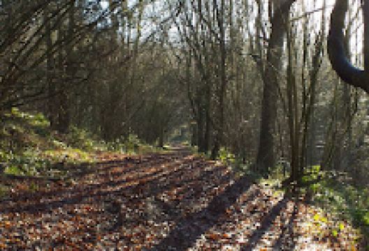 Hampton Loade Residential Park景点图片