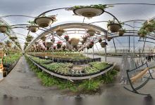 Mill Greenhouses (Ridgeway) The购物图片