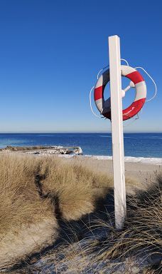 Lyngså Strand-赛比