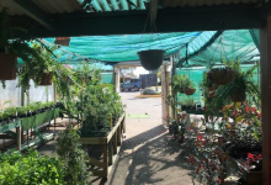 Simply Gorgeous Nursery购物图片